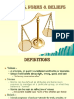 Values Norms Beliefs