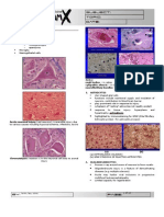 CNS Pathology