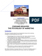 Consumer Behavior: The Psychology of Marketing