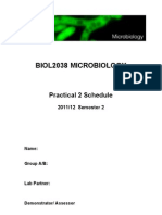 BIOL2038 Practical 2