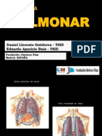 25 Anatomia Pulmonar