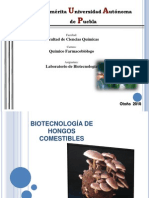 Biotecnología Hongos Comestibles