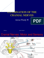 Examination of The Cranial Nerves