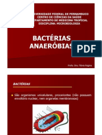 Aula Microbiologia - Bacterias Anaerobias