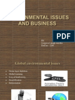 Environmental Issues and Business