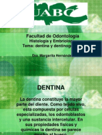 Dentina y Dentinogenesis