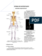 Aula de Anatomia