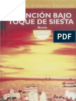 Asuncion Bajo Toque de Siesta Novela