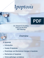 Apoptosis: Dr. Prabesh K Choudhary Final Year Resident MD Pathology