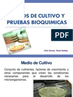 Medios de Cultivo y Pruebas Bioquimicas