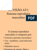 Revisão AV1 2012