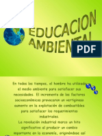 Contaminacion Ambiental