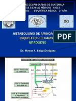 Metabolismo de Aminoacidos