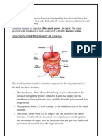 Small Intestine Disorders