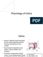 4 Salivary Gland