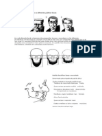 As Análises Cefalométricas e Os Diferentes Padrões Faciais