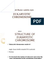 Eukaryotic Chromosome Presentation