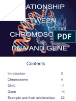 Relationship Between Dna, Gene Chromosome