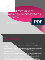 Retard Mitotique Et Maintien de L'intégrité Chromosomique