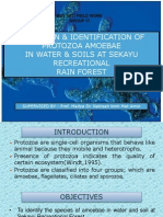 Identification of Protozoa