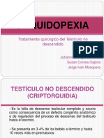 ORQUIDOPEXIA