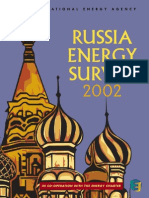 2002 IEA Russian Energy Survey