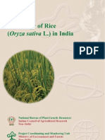 Document On Biology of Rice