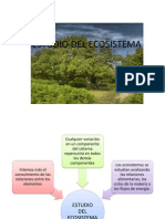 Estudio Del Ecosistema