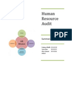 Human Resource Audit