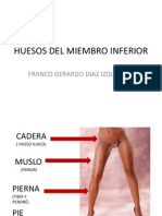 Huesos Del Miembro Inferior