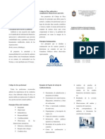 Triptico de Auditoria Interna