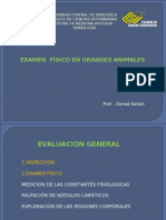 Examen Clinico Del Equino y Bovino2010-1