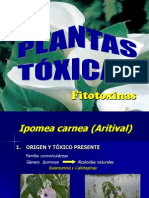 Plantas Toxicas Merilio Maracay2