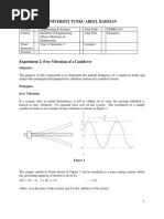 2 Free Vibration of A Cantilever