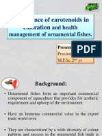 Carotenoid (Master Seminars)