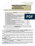 611-Demo-Aula 00 Portugues para PETROBRAS Medio