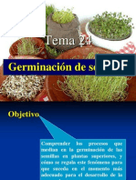 Tema 24. Germinacion y Dormicion de Las Semillas Bis