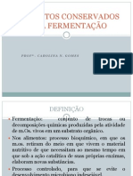 Alimentos Conservados Pela Fermentação