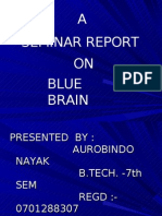 A Seminar Report ON Blue Brain