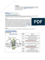 Types of Plant Reproduction