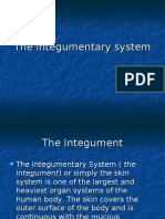 Intug System