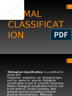 Animal Classification