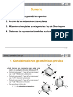 Dinamica Del Ojo