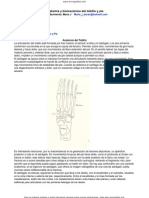 Anatomia Tobillo Pie