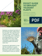 RHS Pocket Guide To Drought Tolerant Plants