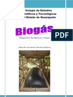 Proyecto Biogás