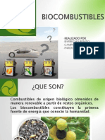 Bio Combustibles