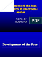 Development of The Face, Oral Cavity & Pharyngeal Arches - PILLAY