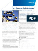 Eurozone Crisis - Five Practical Strategies: Financial Controller For A Major Pharmaceutical Company