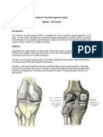 Anterior Cruciate Ligament Injury